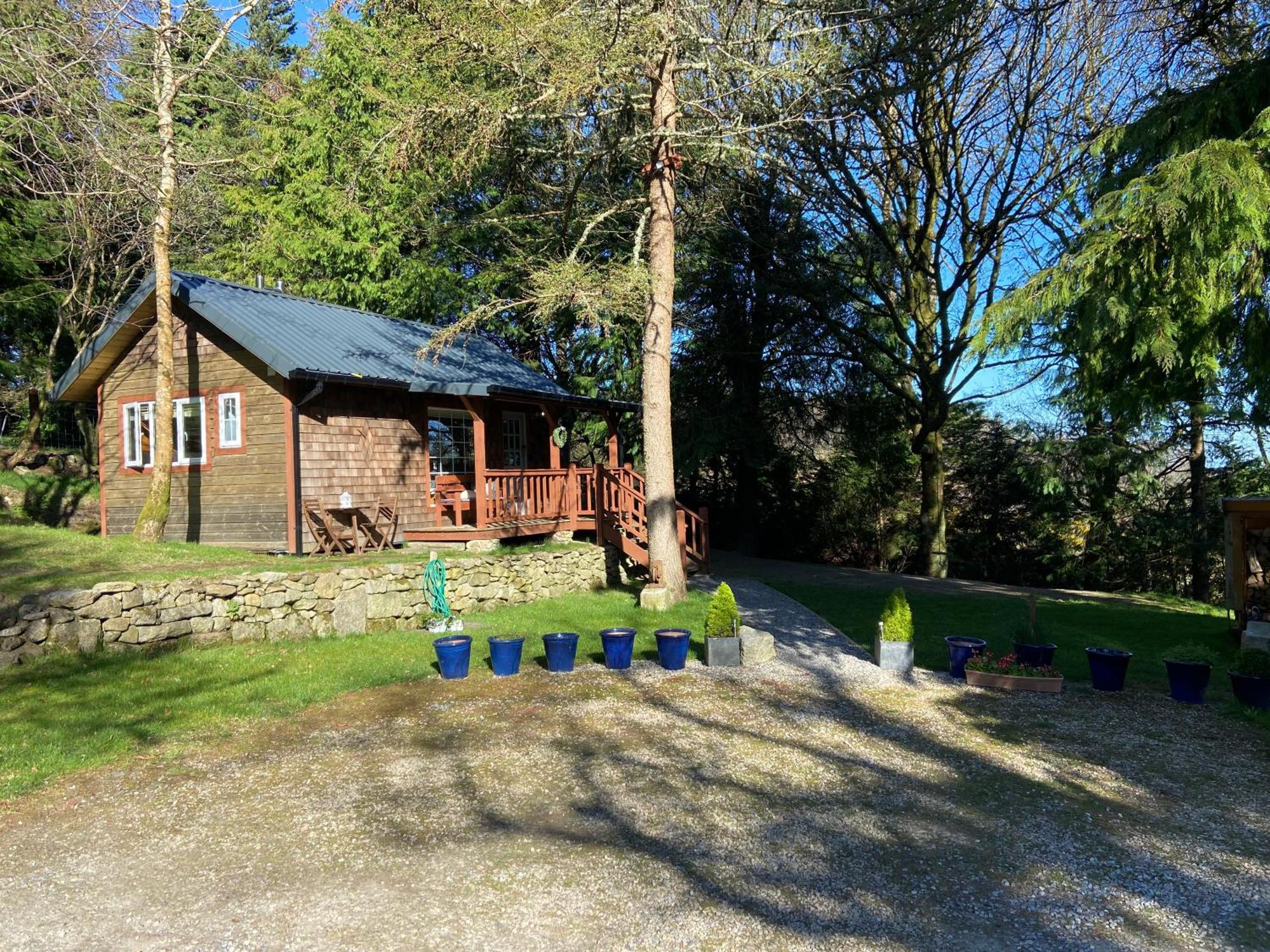 Willow Lodge Dublin Extérieur photo